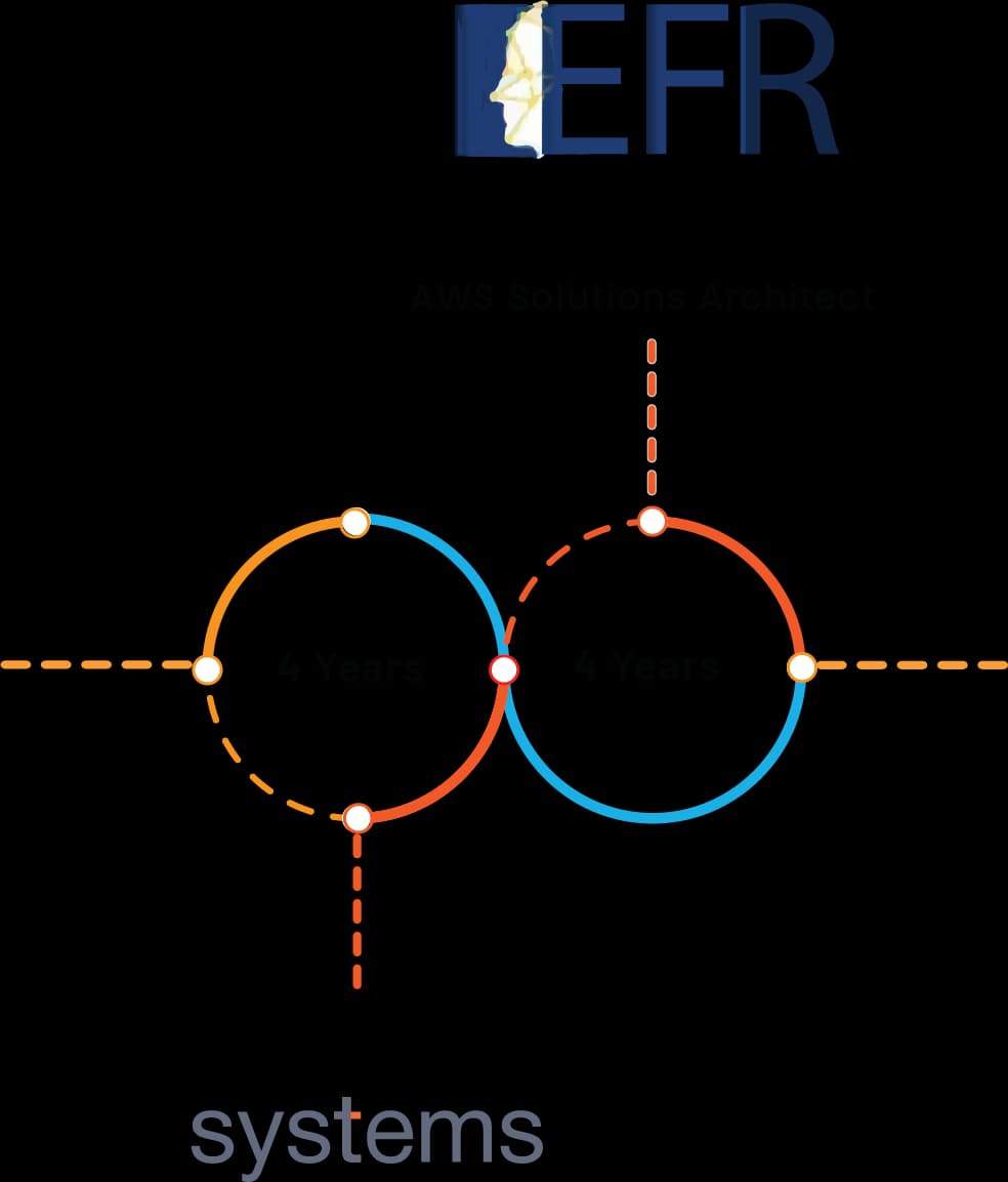 Career timeline of Syed Muhammad Ammar with EFR and Synnapps logos, showcasing his professional journey.