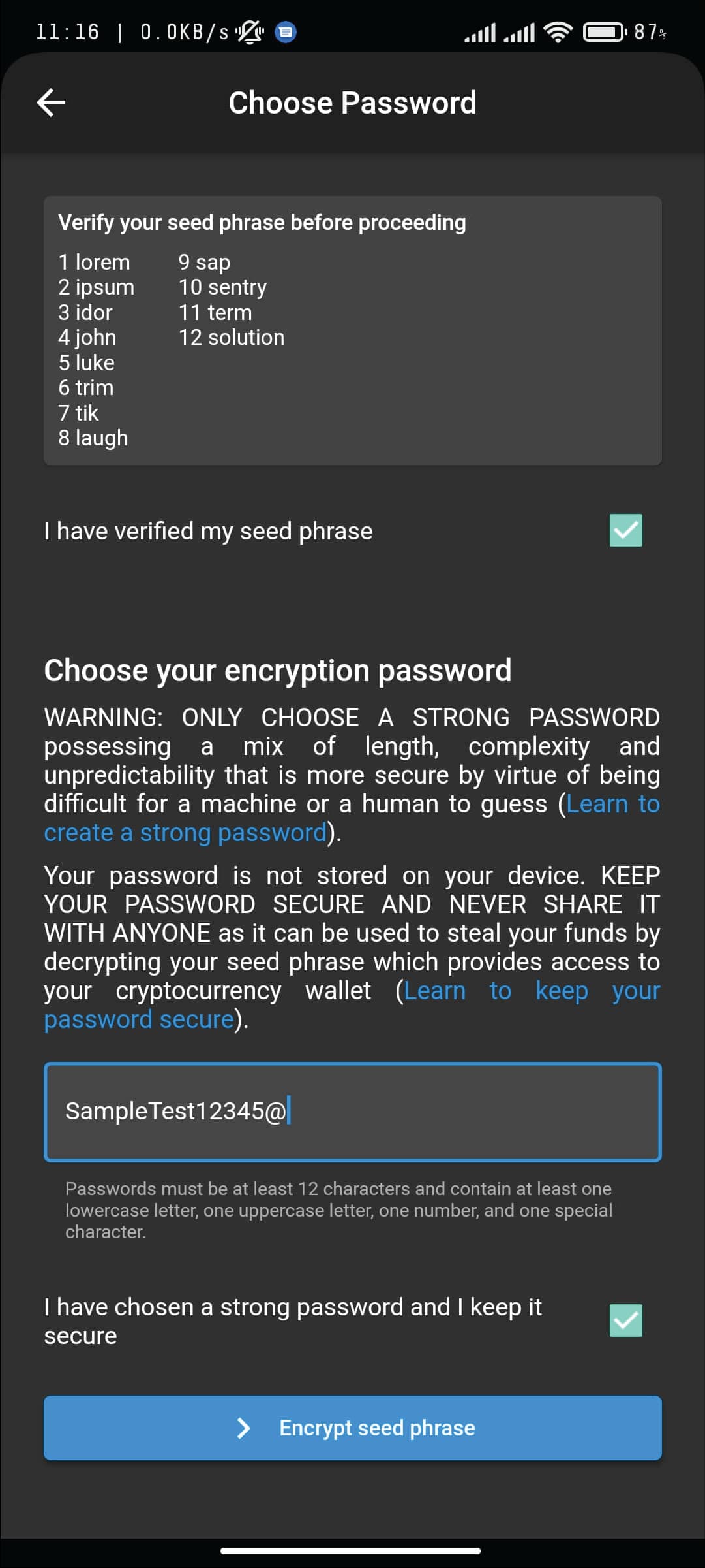 Screen for setting an encryption password, with warnings about the importance of a strong password and guidelines for secure creation.